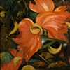 Stubbe, Olga.1459