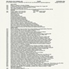 Curriculum vitae