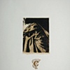 Candiani, Alicia. 261