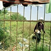 Cambodia