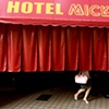 Singles - Osaka Love Hotel