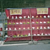 Chongqing