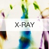 X-Rays