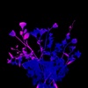 Shattered Blue Bouquet