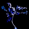 Blue Tree