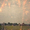 House-Vine-Field