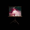 Fence Projection