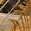 twine bulkhead
