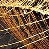twine shed