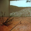 Timbered [pitch]