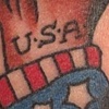USA fist