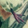 purple finch