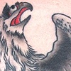 burnt book eagle