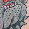 git to work bulldog & anchor 1