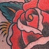 sailor rose