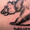 early CA flag