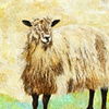 Golden Fleece