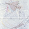 Flying Plane and Flying Trapeze