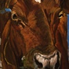 Norwegian Cow