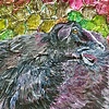 Mosaic Series and Clouds of Sheep (2009-present)