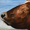 Profile of a Norwegian Cow I
