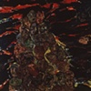 Copperhead Mountain II
