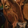 Norwegian Cow, Annie Dillard
