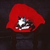 The Contortionist and the Pussycat
(Side B)