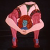 The Contortionist and the Pussycat
(Side A)