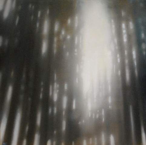 Sun Shower