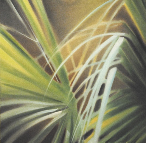 Palms