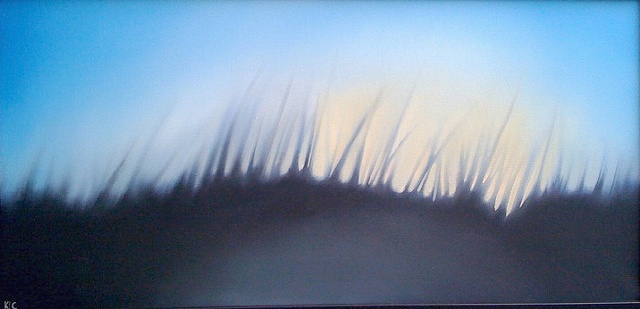 Folly Seagrass