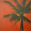 Red Sky Palm