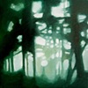 Woods