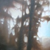 Forest Edge