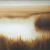 Marsh Fog