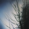 The Fringe