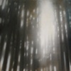 Sun Shower