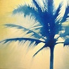 Palm 8