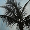 Dad's Palm