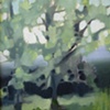 Tuscan Olive Tree