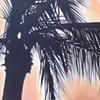 Palm 2