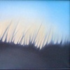 Folly Seagrass