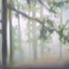 Forest Mist