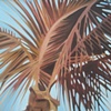 Naples Palm