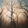 The Autumn That The Giants Fell