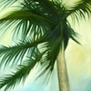 Palm in Breeze