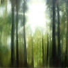 Through the Forest
