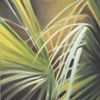 Palms