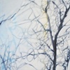 Winter Trees #1